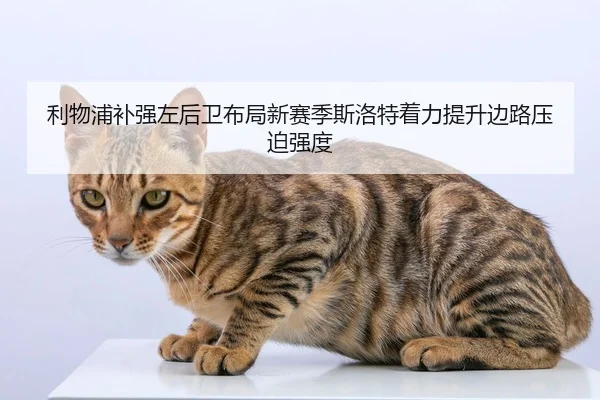 img_1783371953773_3531_0_992.jpg | kaiyun